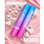 제이투스 셔틀콕 M300